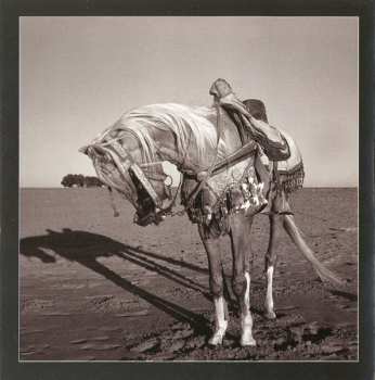 CD Brad Shepik: The Well