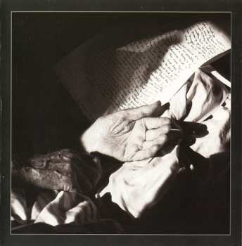 CD Brad Shepik: The Well