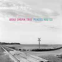 Album Brad Shepik Trio: Places You Go