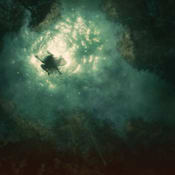 CD Braids: Companion