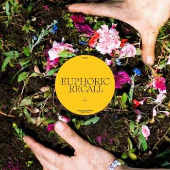 Album Braids: Euphoric Recall