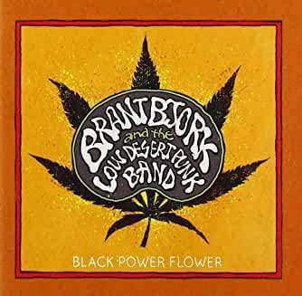 CD Brant Bjork And The Low Desert Punk Band: Black Power Flower 304157