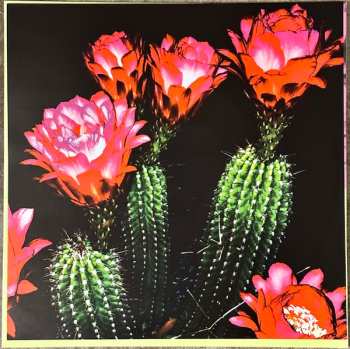 LP Brant Bjork Trio: Once Upon A Time In The Desert