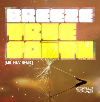Album Breeze: True Faith