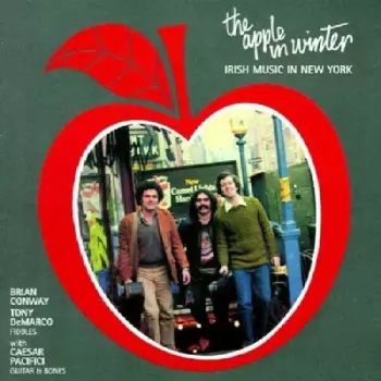 The Apple In Winter (Irish Music In New York)