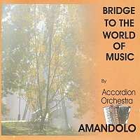 Album Amandolo Accordion Orchestra: Bridge to the World of Music