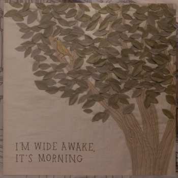 LP Bright Eyes: I'm Wide Awake, It's Morning 418969
