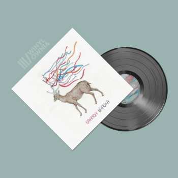 Album Brodka: Granda