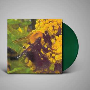 LP Broncho: Natural Pleasure