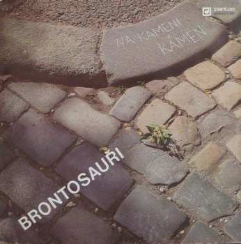 LP Brontosauři: Na Kameni Kámen 43340