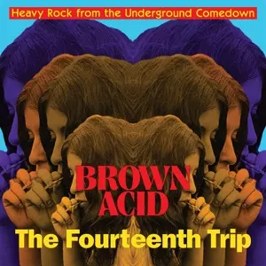 Brown Acid - Fourteenth Trip / Various Artists: Brown Acid: The Fourteenth Trip