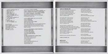 CD Bruce Cockburn: Stealing Fire DLX