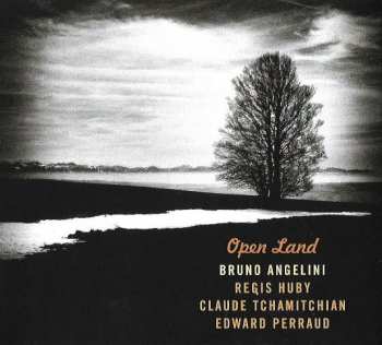 Bruno Angelini: Open Land
