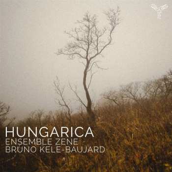 Album Bruno Kele Ensemble Zene: Baujard