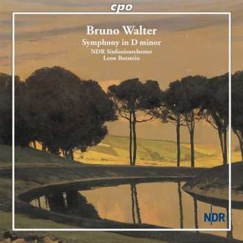 Album Bruno Walter: Symphony In D Minor