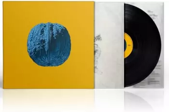 Brunori Sas: L'Albero Delle Noci