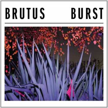 LP Brutus: Burst 84080