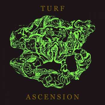 Album Bubblemath: Turf Ascension