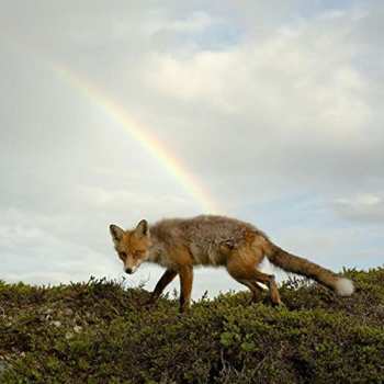 CD Buck Meek: Buck Meek