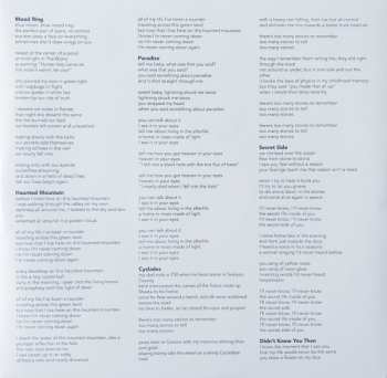 LP Buck Meek: Haunted Mountain