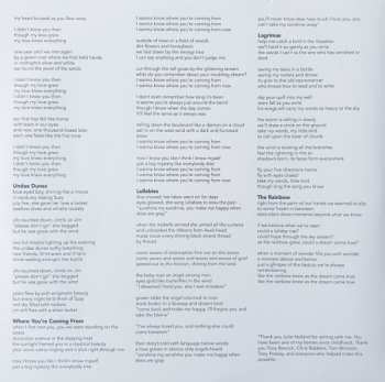 LP Buck Meek: Haunted Mountain