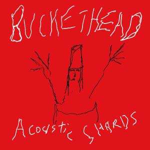 Album Buckethead: Acoustic Shards