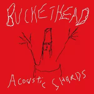 Buckethead: Acoustic Shards