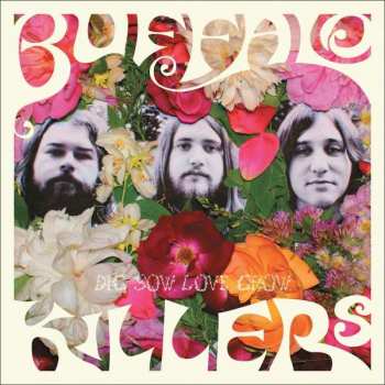 Album Buffalo Killers: Dig. Sow. Love. Grow.