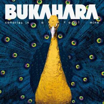 Album Bukahara: Canaries In A Coalmine