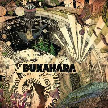 Album Bukahara: Phantasma