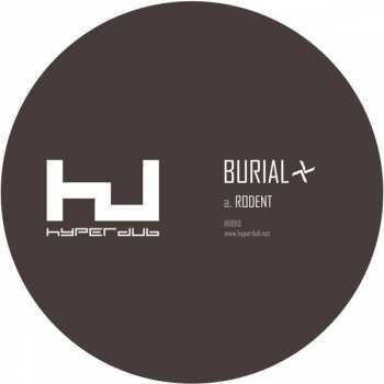 Burial: Rodent