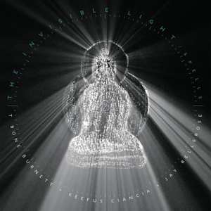 CD T-Bone Burnett: The Invisible Light: Spells 419320