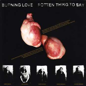 CD Burning Love: Rotten Thing To Say 244913