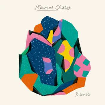 Album B.Visible: Pleasant Clutter