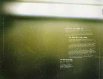 CD By The Tree: Hold You High