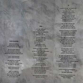 LP Cadû: Psychotic Parade