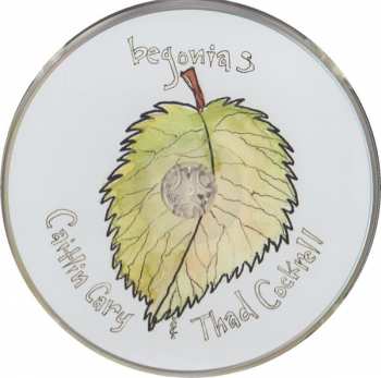 CD Caitlin Cary: Begonias