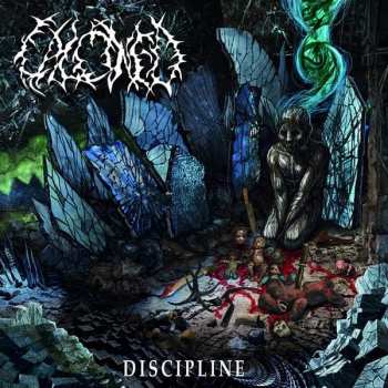 Album Calcined: Discipline