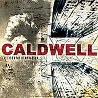 CD Caldwell: Accidental Renovation 467881