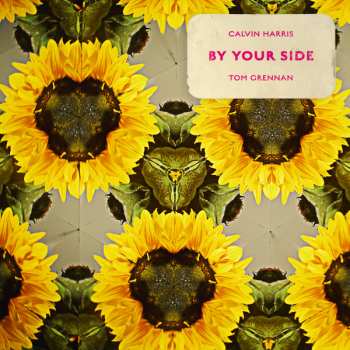 Album Calvin Harris: By Your Side