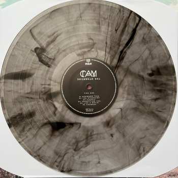 LP Cam: The Otherside 536976