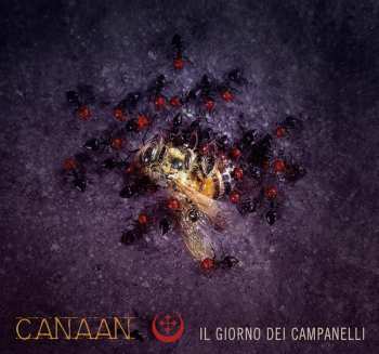 Canaan: Il Giorno Dei Campanelli