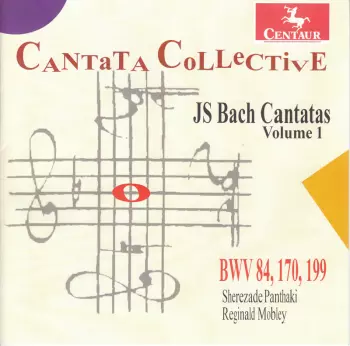 Cantatas Of JS Bach  Volume 1