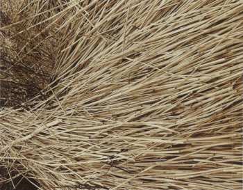 CD Capercaillie: Choice Language