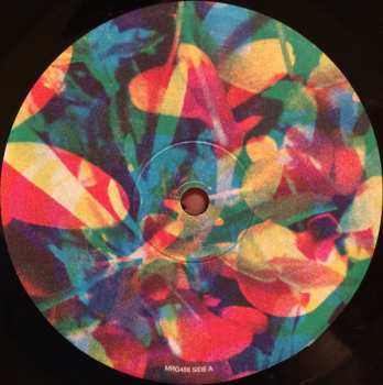 LP Caribou: Our Love