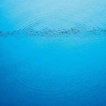 CD Caribou: Suddenly DIGI