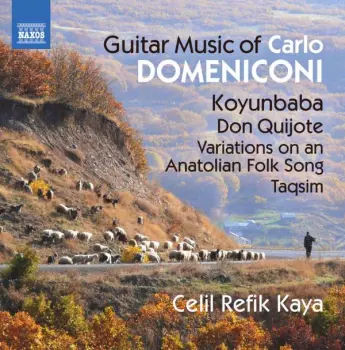 Guitar Music Of Carlo Domeniconi