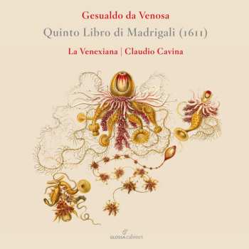 Album Carlo Gesualdo Von Venosa: Madrigale Buch 5