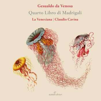 Album Carlo Gesualdo Von Venosa: Madrigali A Cinque Voci Libro Iv