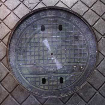 LP Carolina Durante: Elige Tu Propia Aventura LTD | PIC | DLX